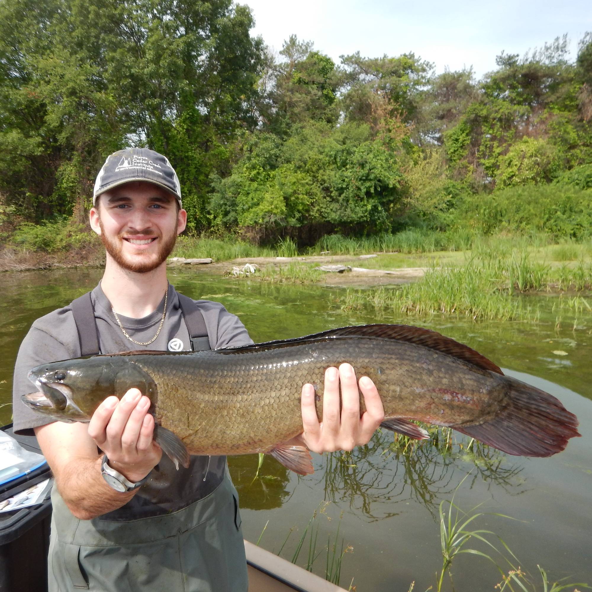 A student with a bowfin
